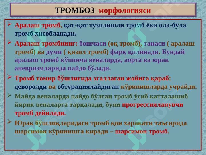 Preview 5