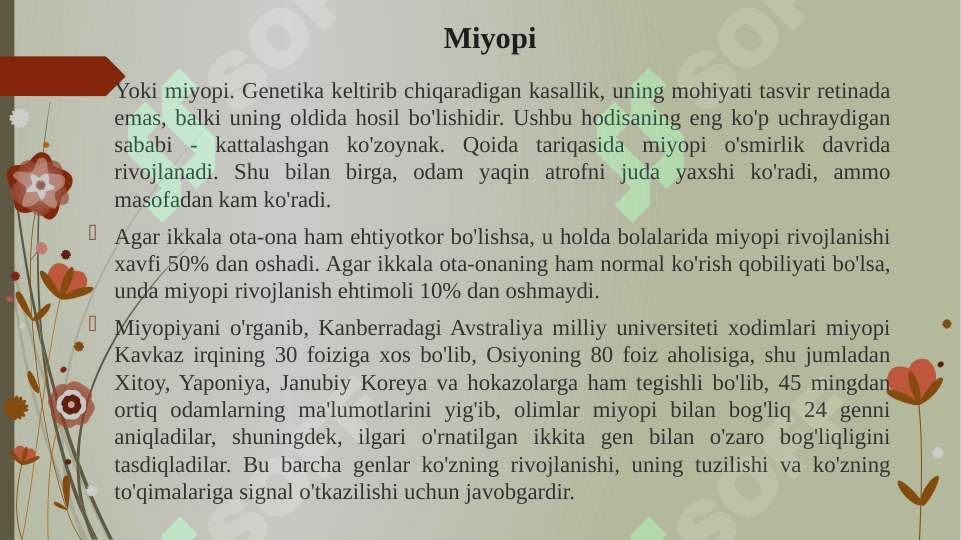Preview 4