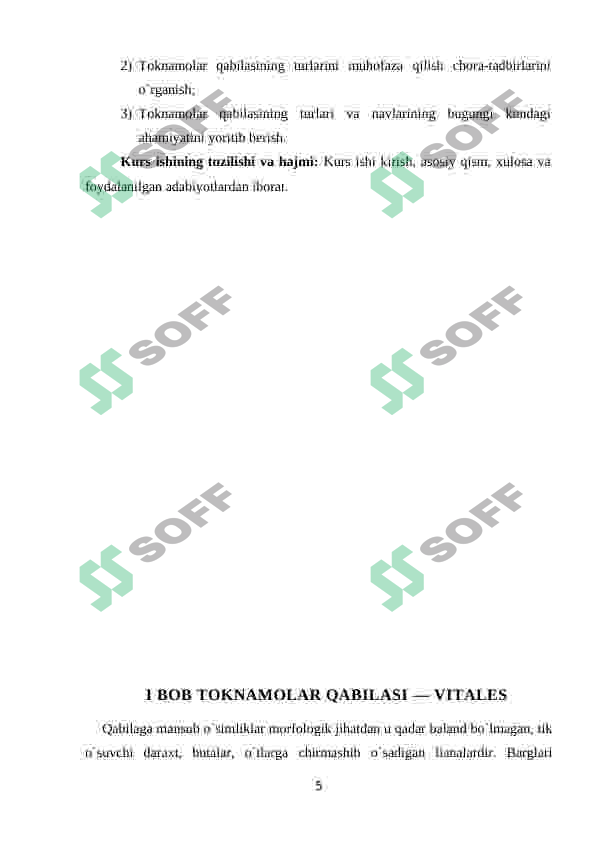 Preview 5