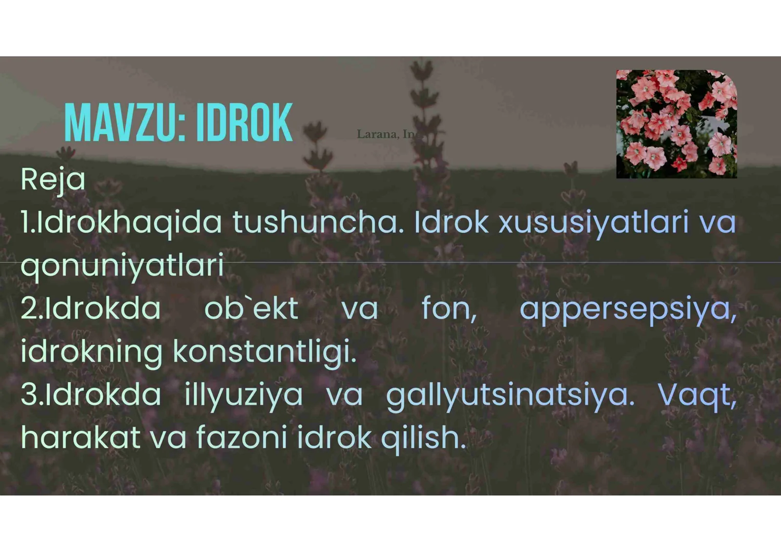 Preview 2