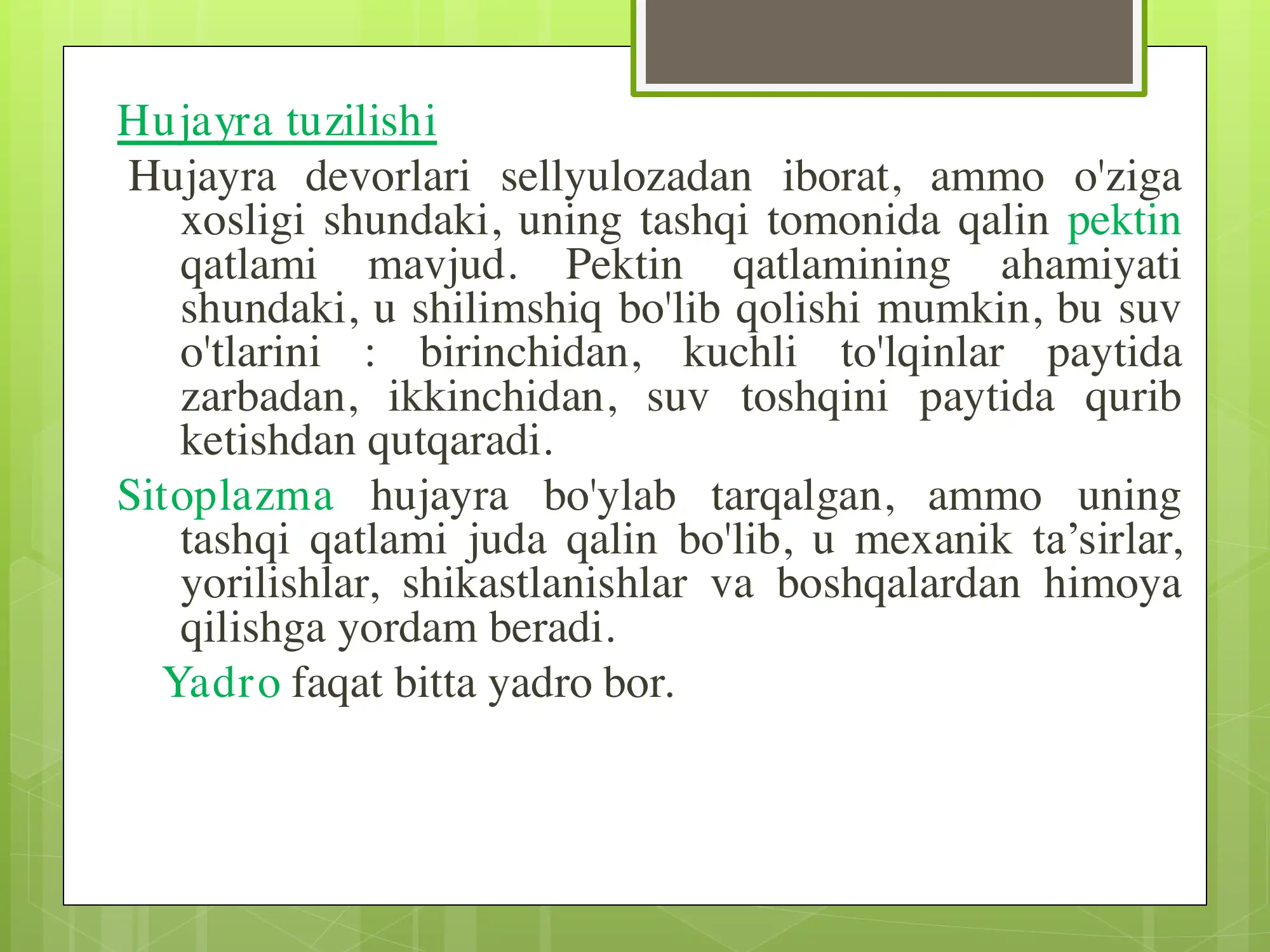 Preview 3