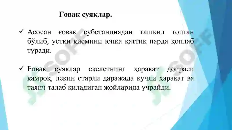 Preview 7