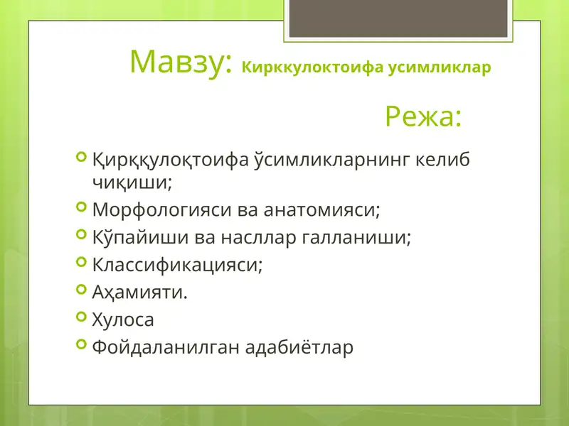 Preview 1
