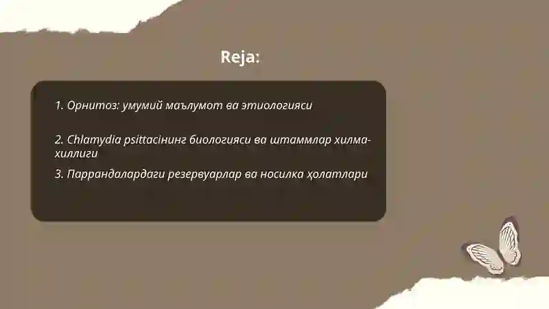 Preview 2