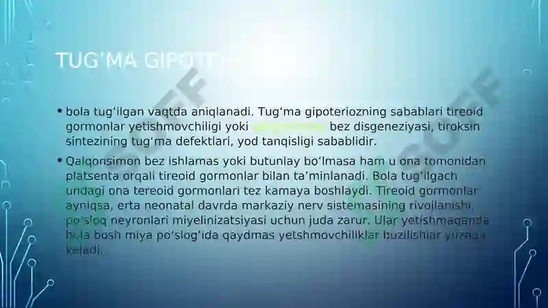 Preview 2