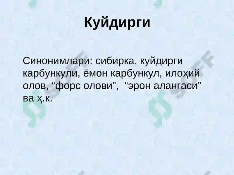Preview 3