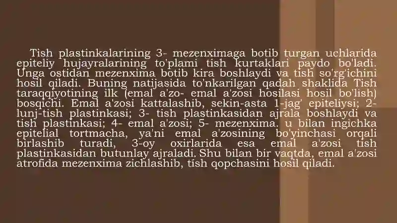 Preview 4