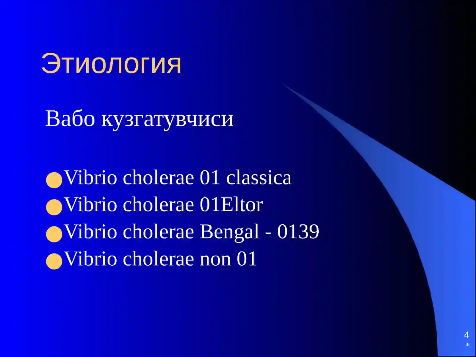Preview 4