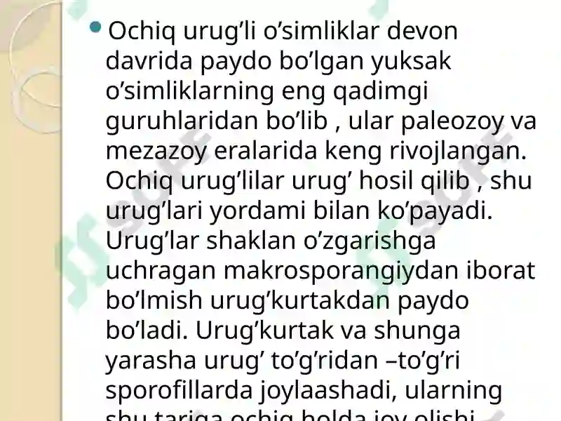 Preview 5