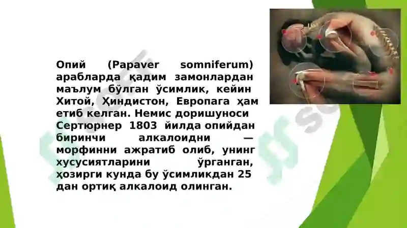 Preview 5
