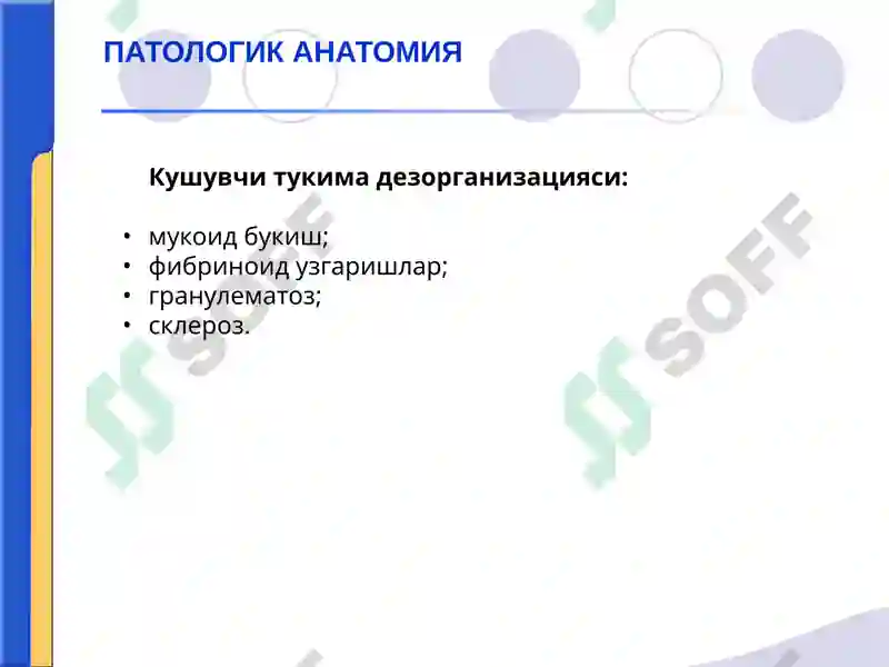 Preview 5