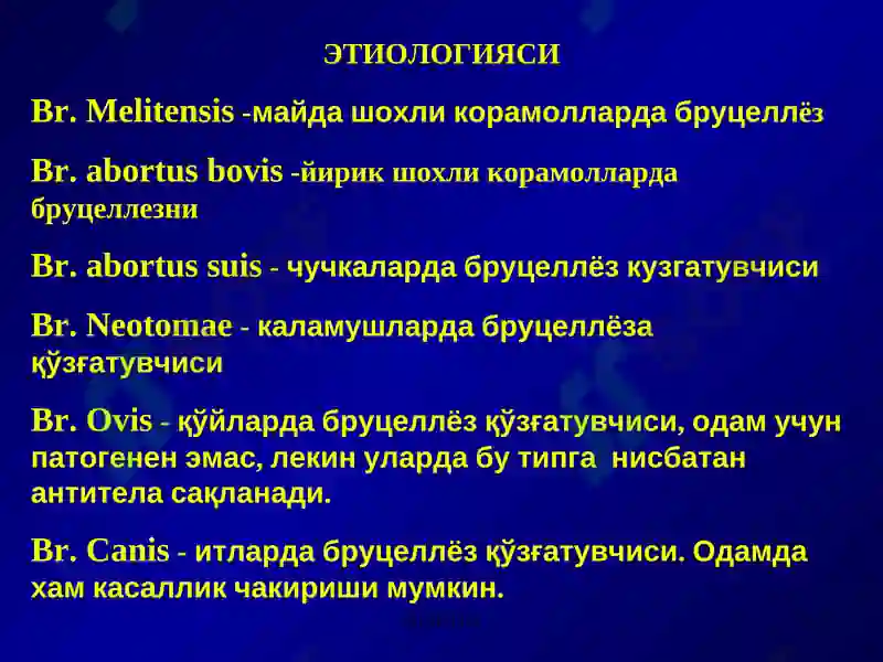 Preview 5