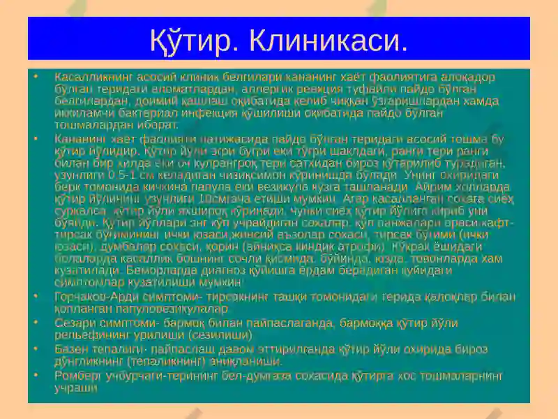 Preview 5