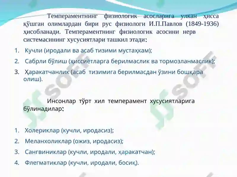 Preview 6