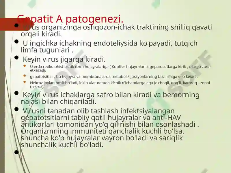 Preview 7