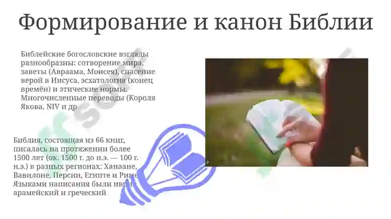 Preview 7