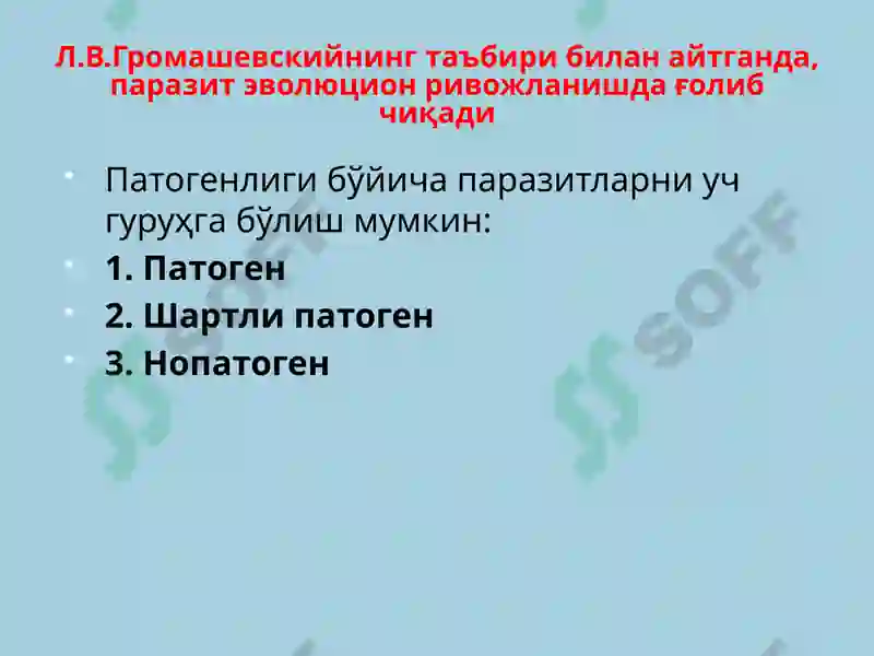 Preview 7