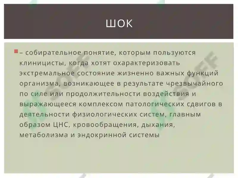 Preview 7