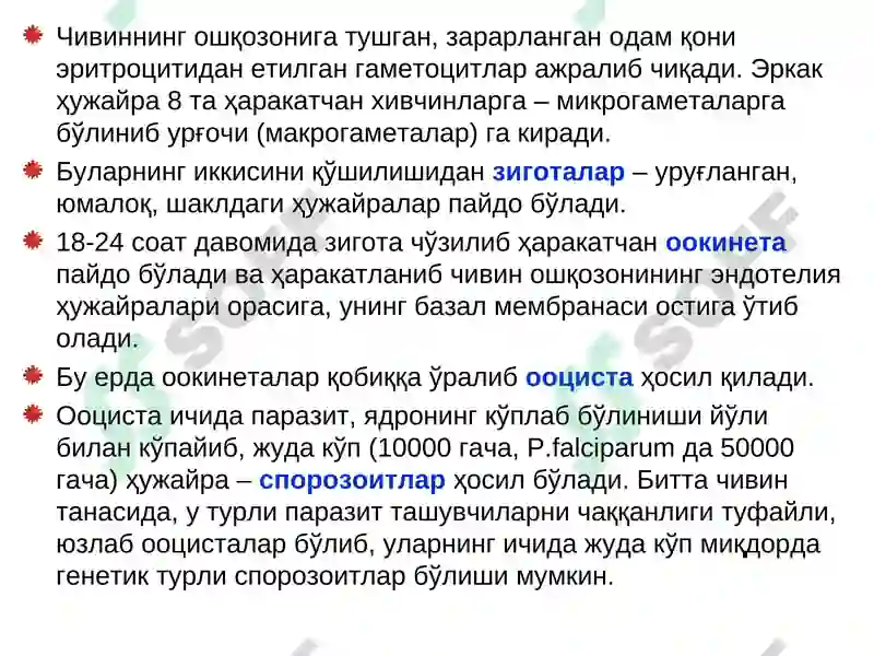 Preview 7