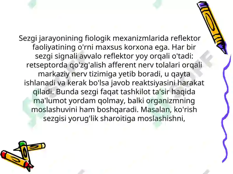 Preview 7