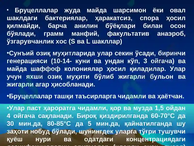 Preview 7
