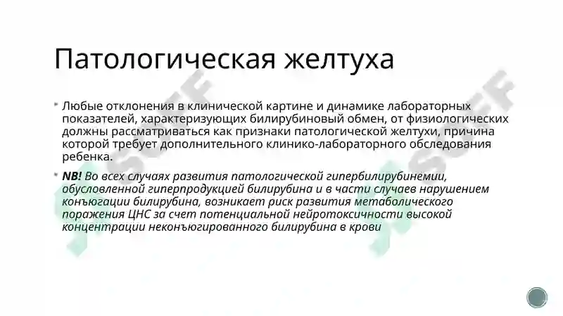 Preview 8