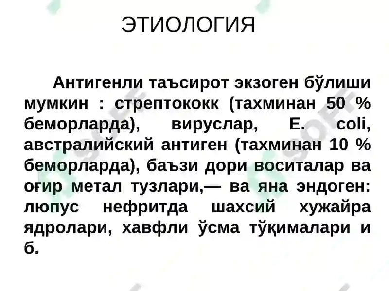 Preview 8