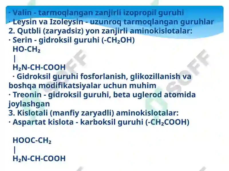 Preview 8