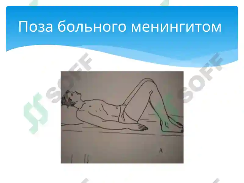 Preview 8