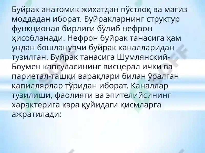 Preview 8