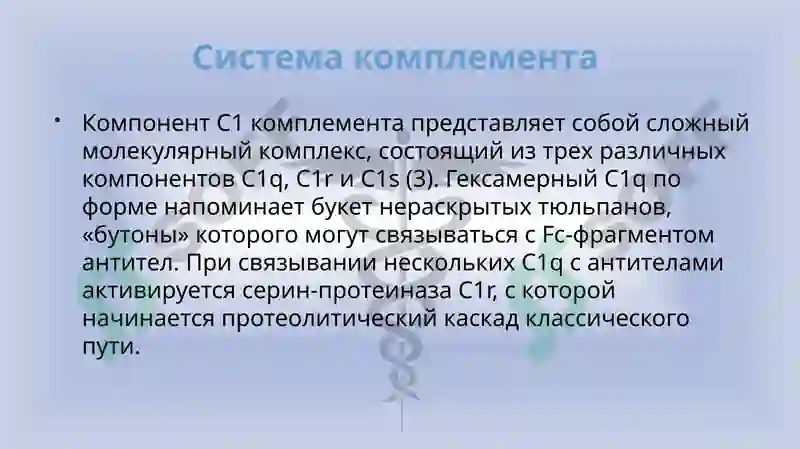 Preview 8