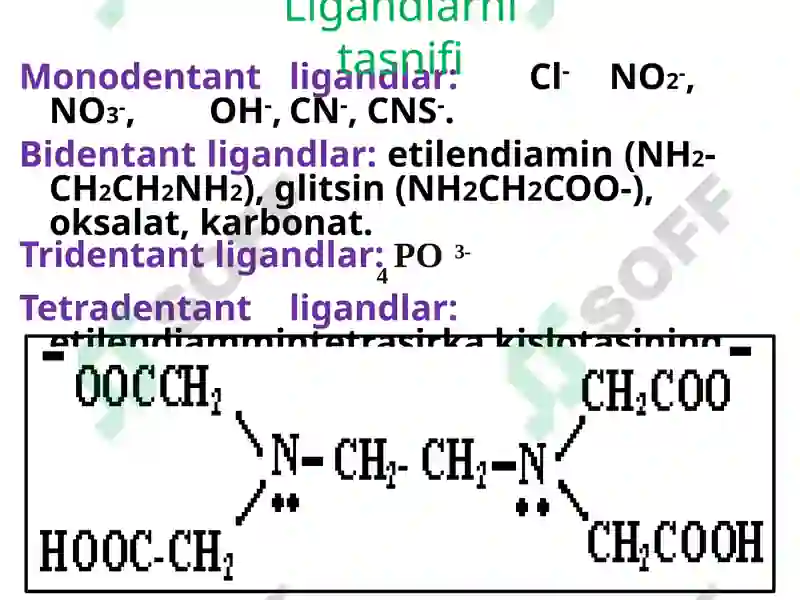 Preview 8