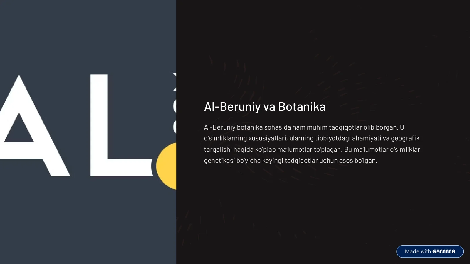 Product slide 3