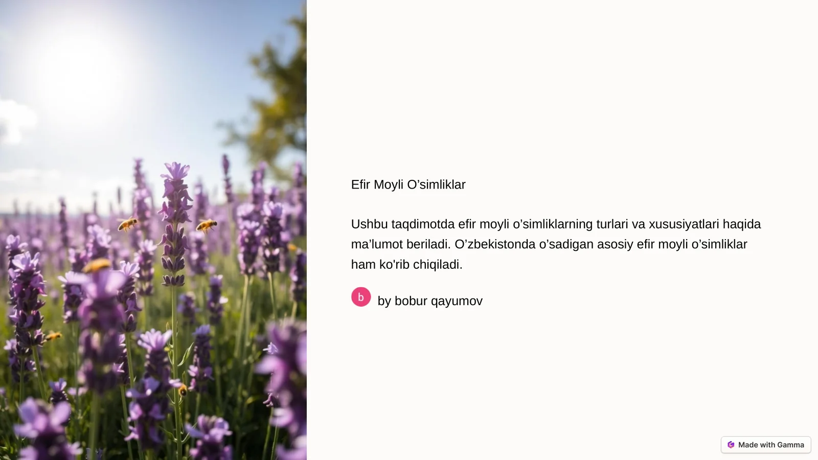 Product slide 1