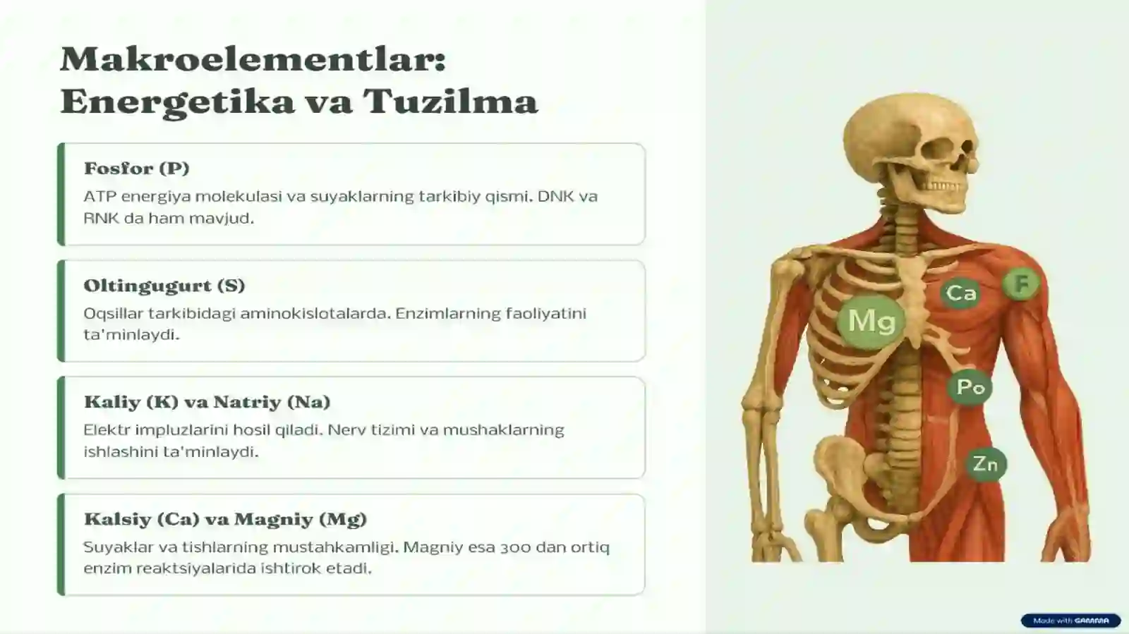 Product slide 4