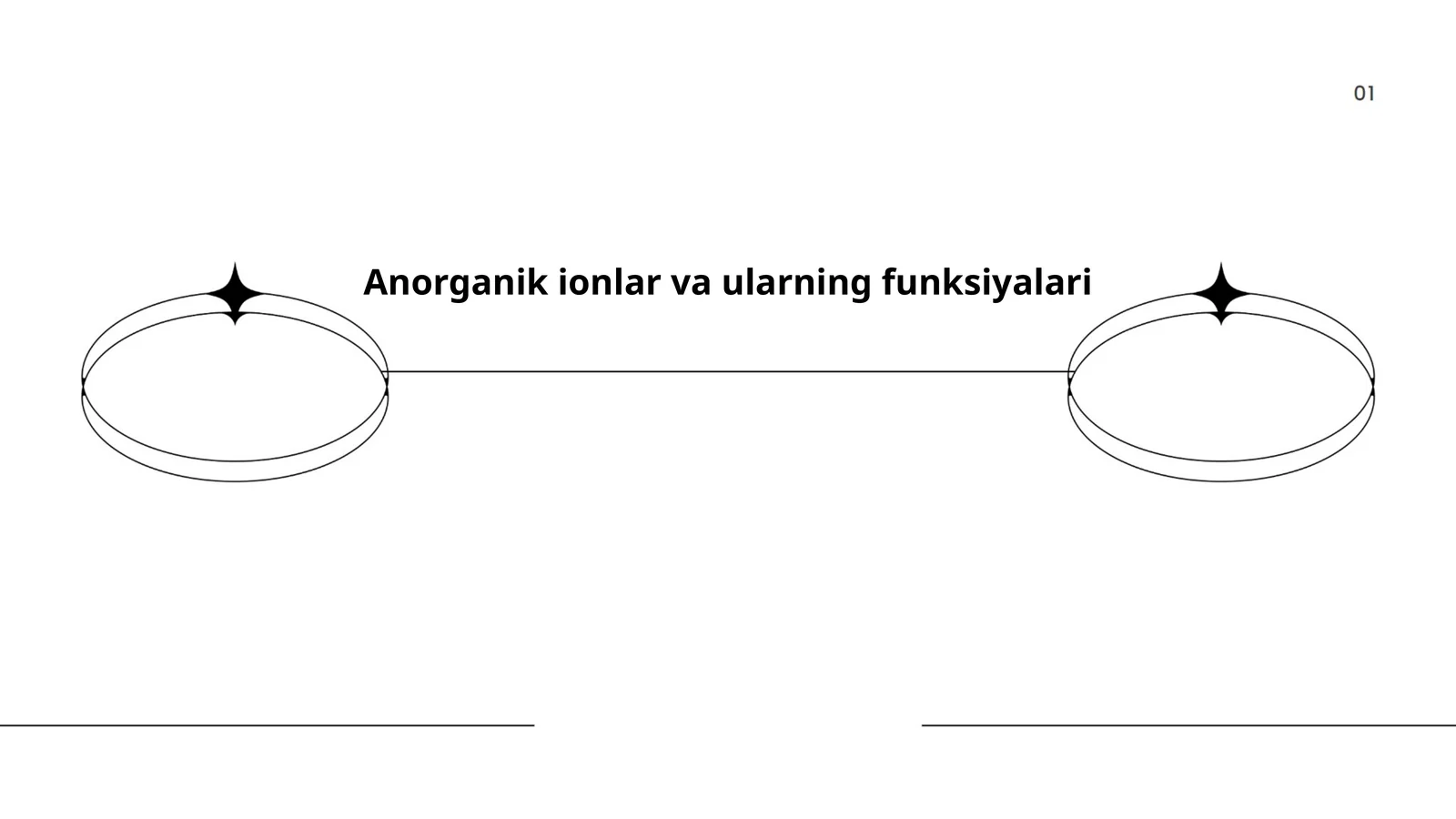 Anorganik ionlar va ularning funksiyalari