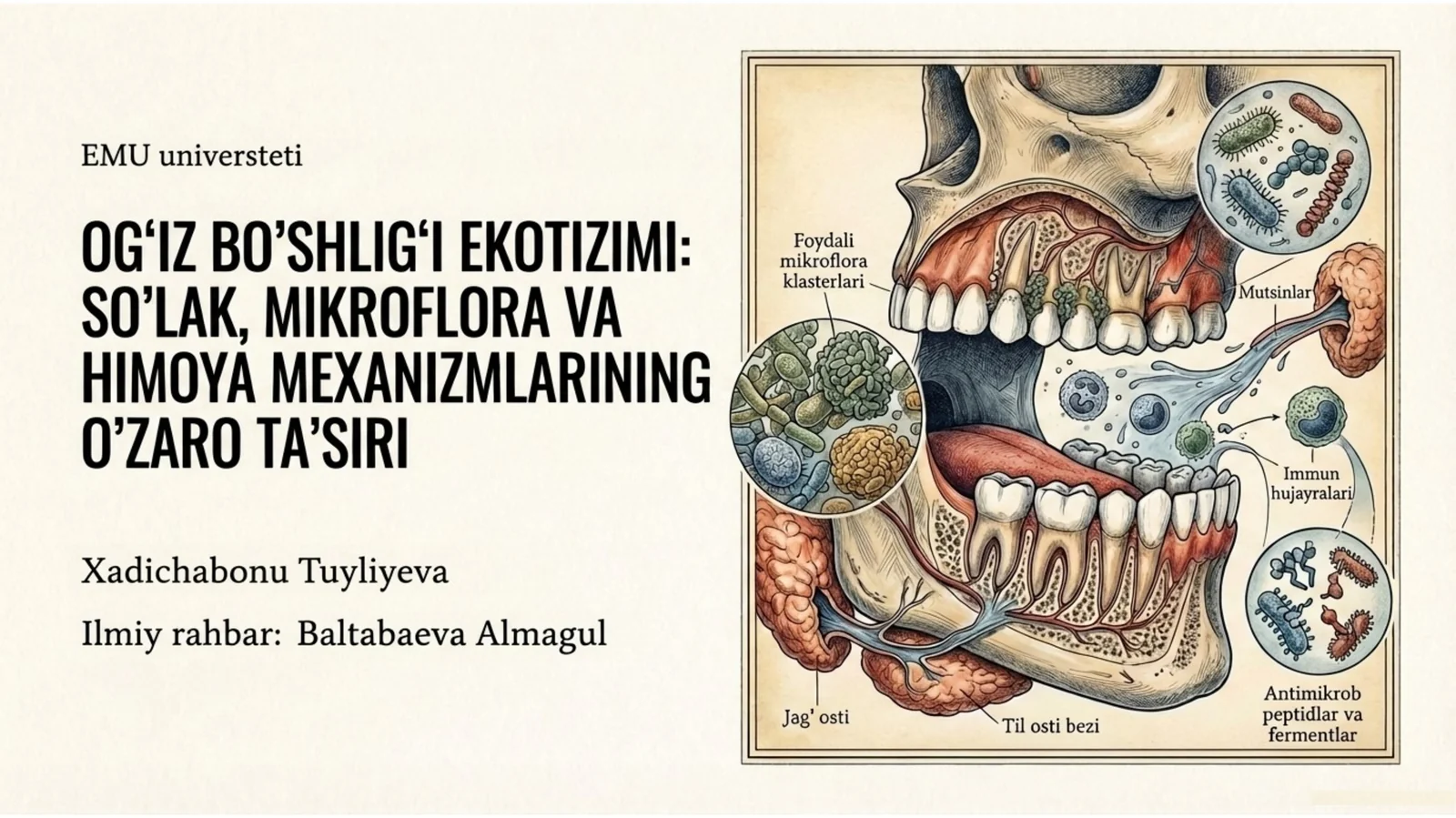og‘iz bo‘shlig‘i ekotizimini