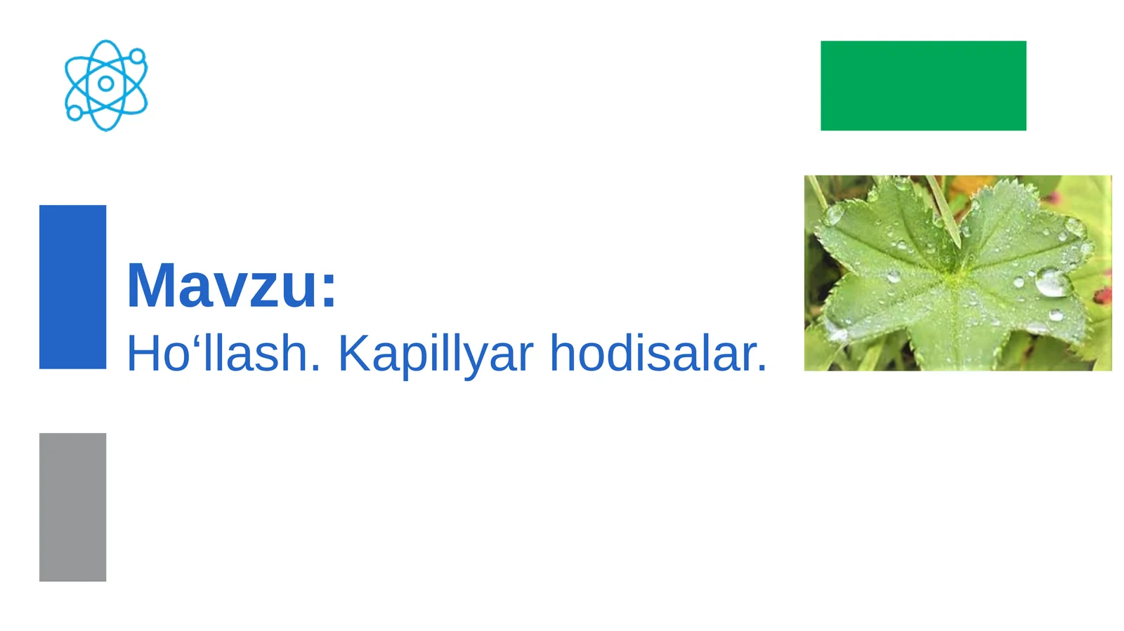 Ho‘llash.Kapillyar  hodisalar