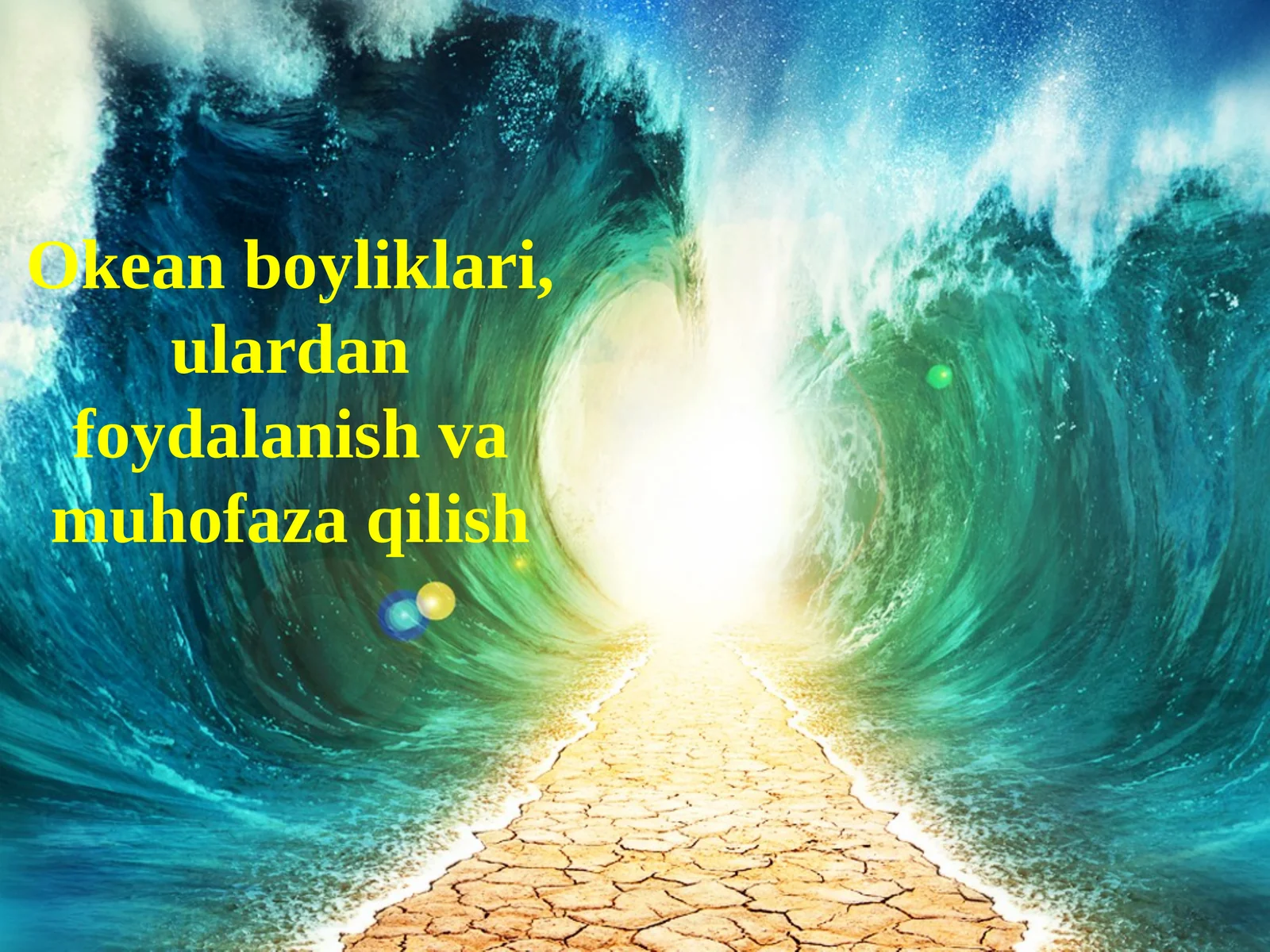 Okean boyliklari, ulardan foydalanish va muhofaza qilish