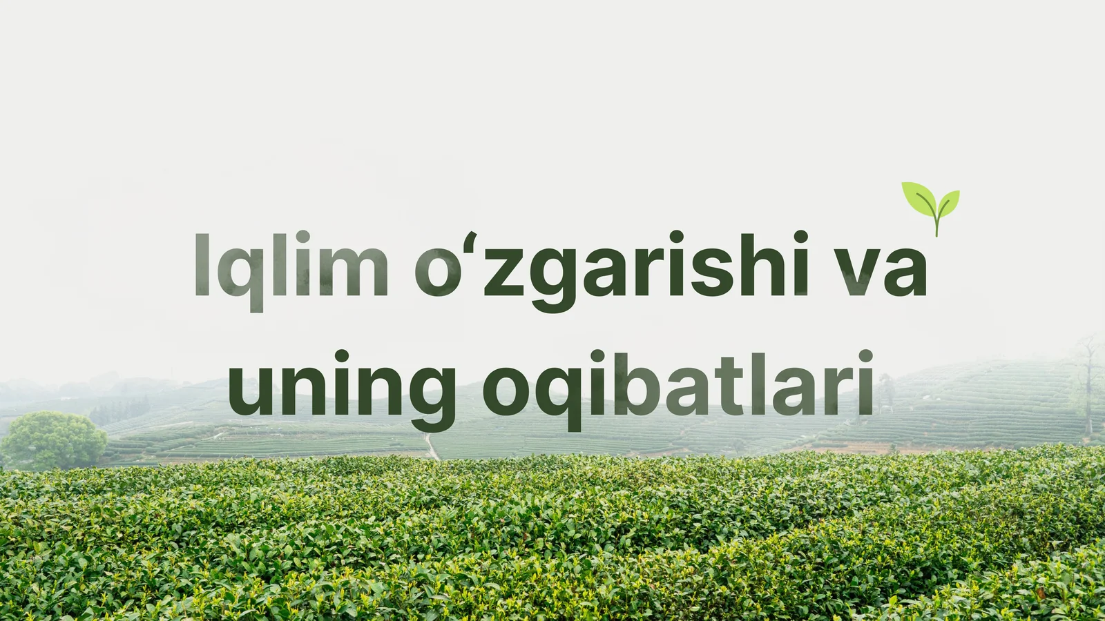 Iqlim o'zgarishi va uning oqibatlari