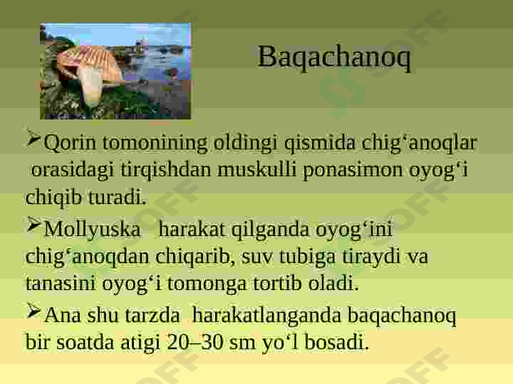 Product slide 8