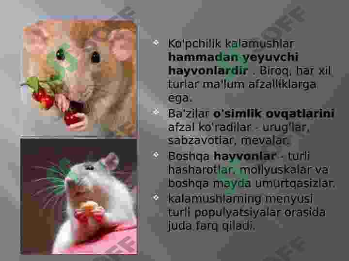 Product slide 5