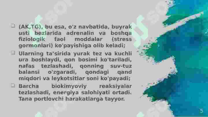 Product slide 5
