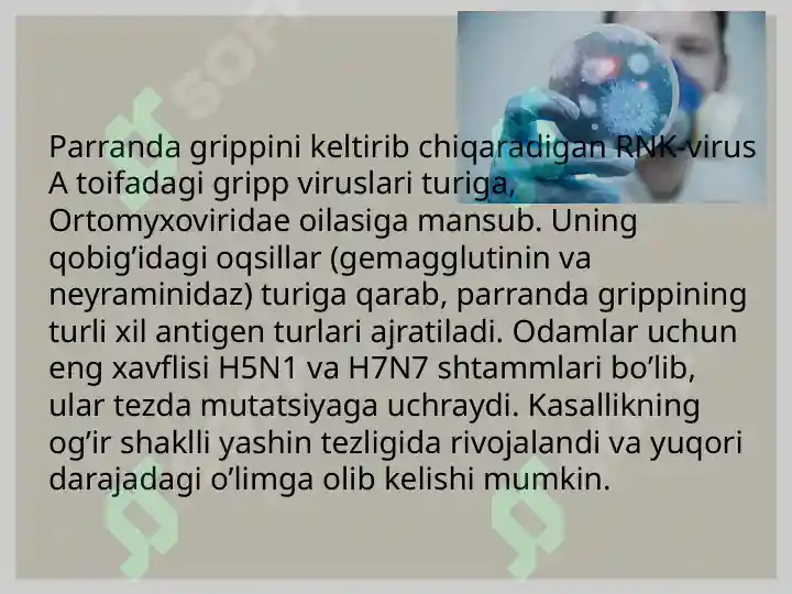 Product slide 5