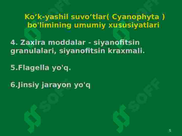 Product slide 5