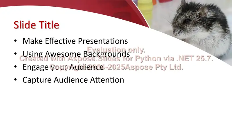 Product slide 2