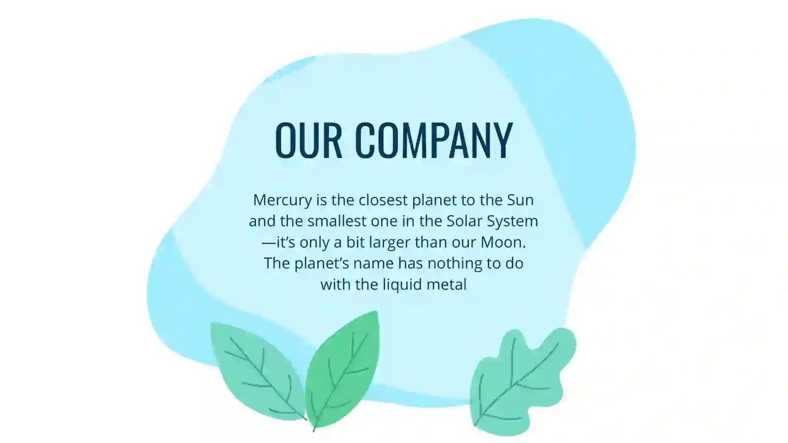 Product slide 3