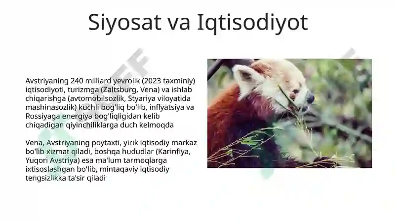Product slide 5