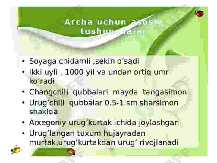 Product slide 6