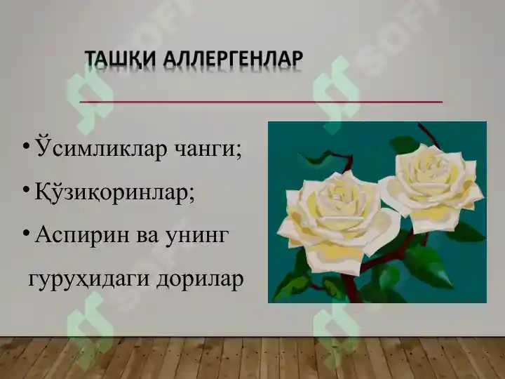 Product slide 6